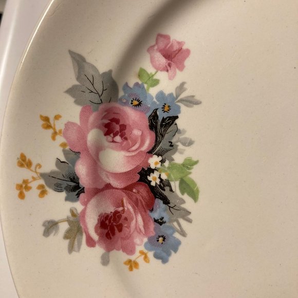 Vintage Dinner Plates (2) 9 Inches with Pink & Blue Flowers / Roses - Picture 15 of 16
